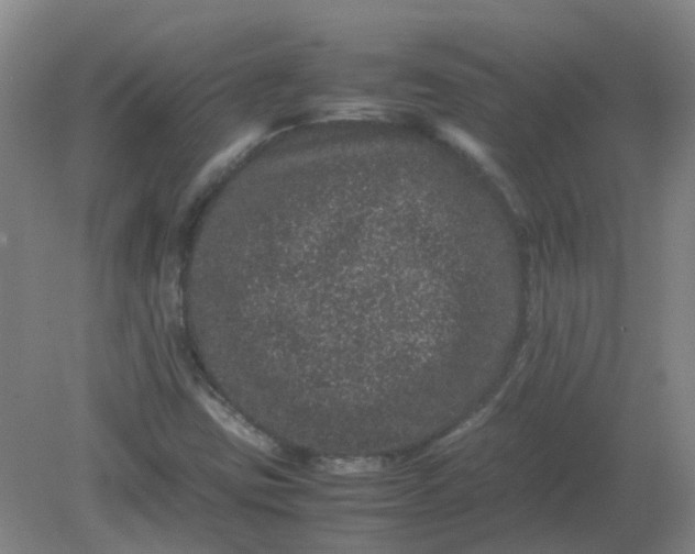 X0000082201403200702021832