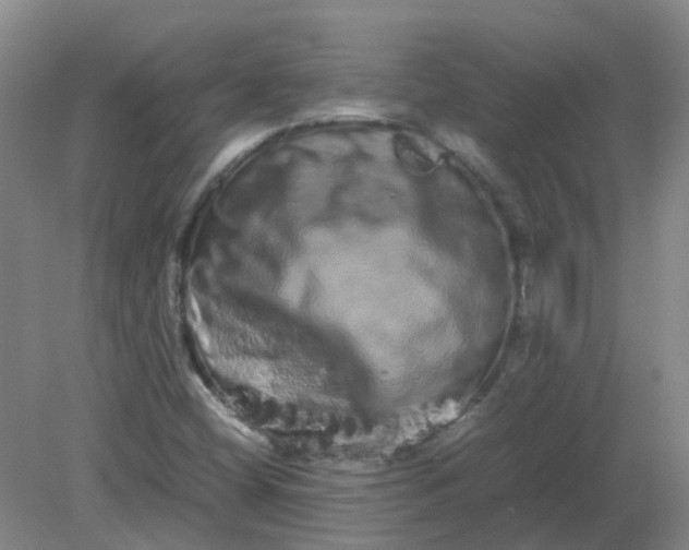 X0000082201404200702021832