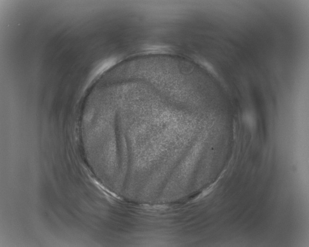 X0000082201405200702021832