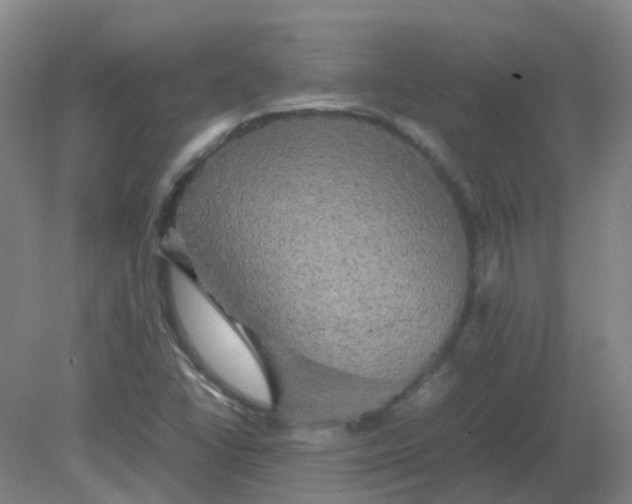 X0000082201406200702021832