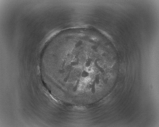 X0000082201407200702021832