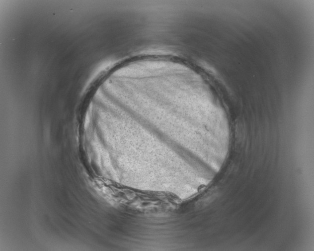 X0000082201408200702021832