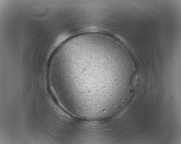 X0000082201410200702021832