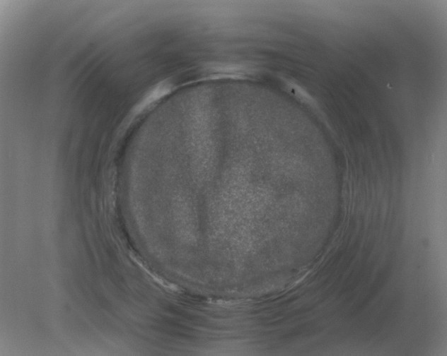 X0000082201411200702021832