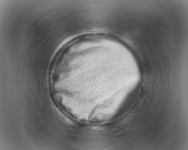 X0000082201412200702021832