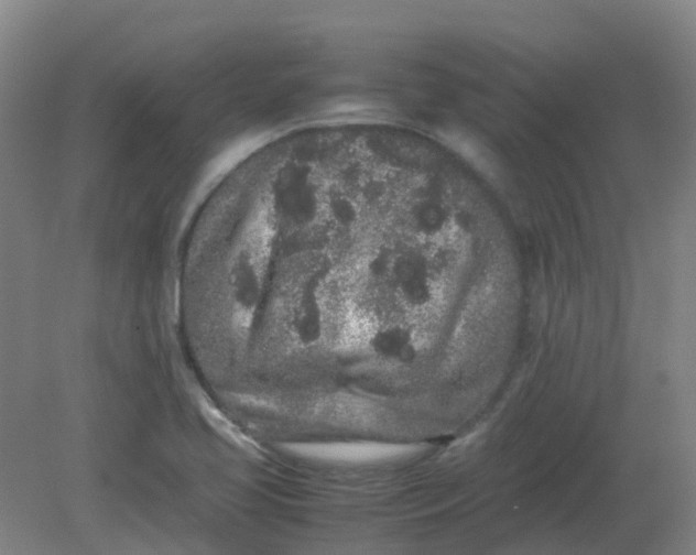 X0000082201413200702021832