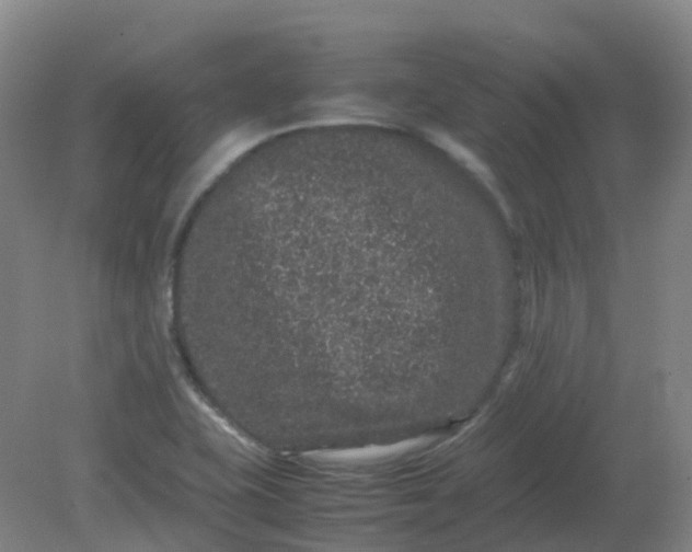 X0000082201415200702021832