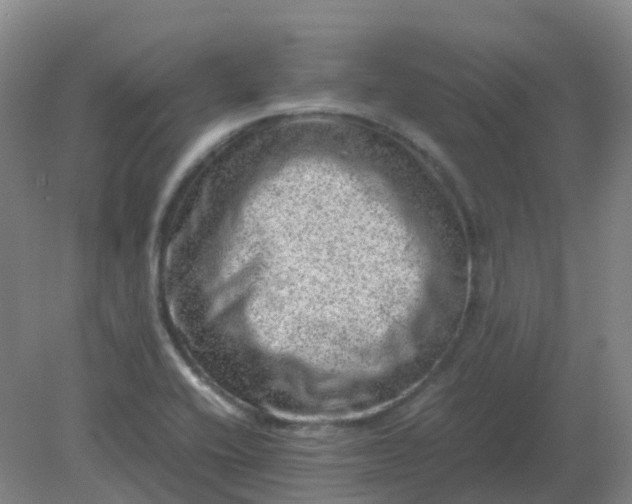 X0000082201416200702021832