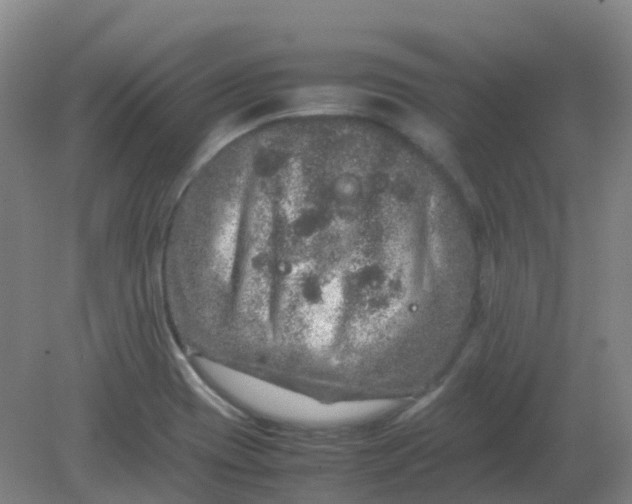 X0000082201417200702021832