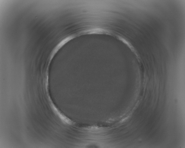 X0000082201418200702021832