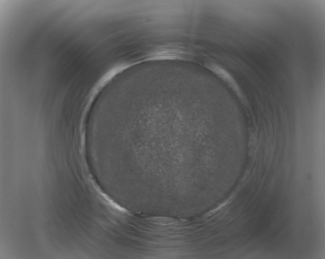 X0000082201419200702021832