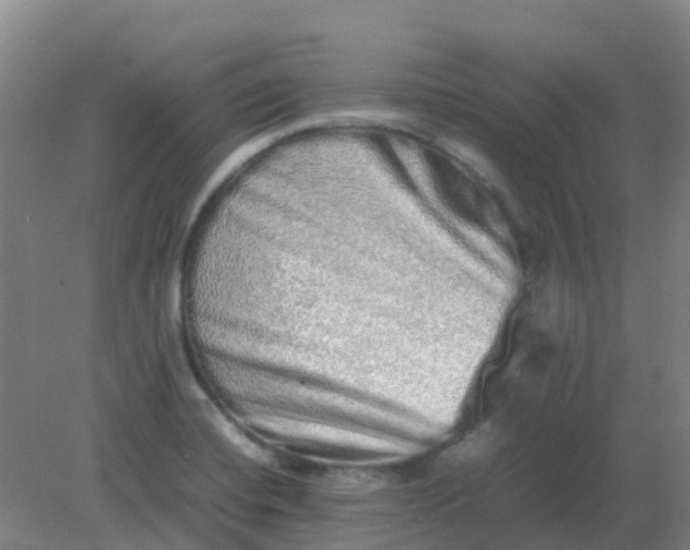 X0000082201420200702021832