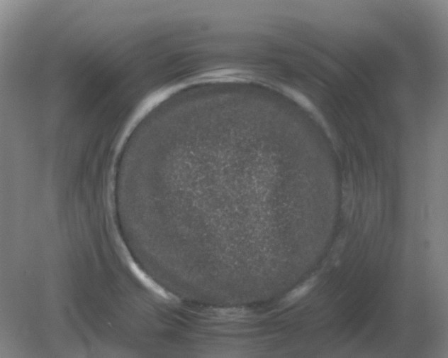 X0000082201421200702021832