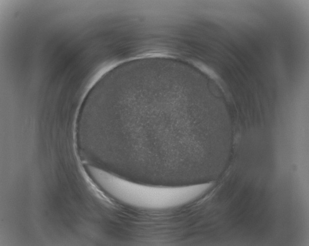 X0000082201423200702021832