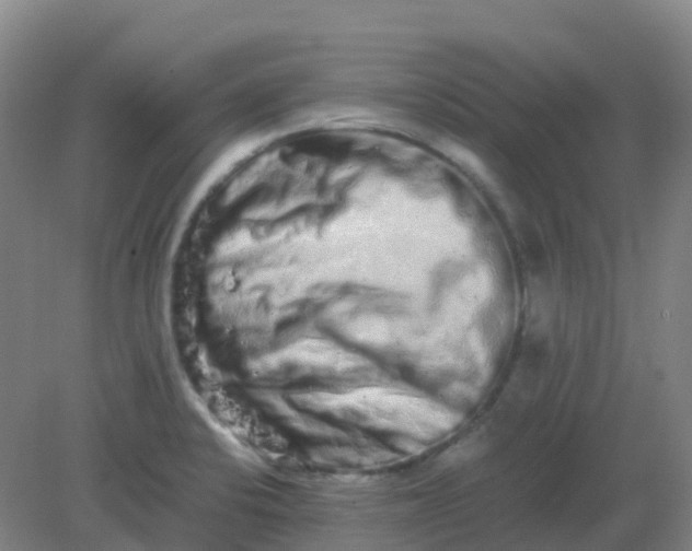 X0000082201424200702021832