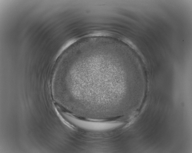 X0000082201425200702021832