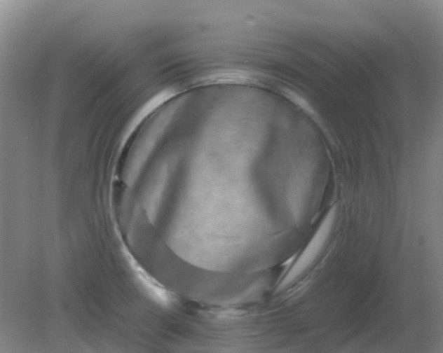 X0000082201426200702021832