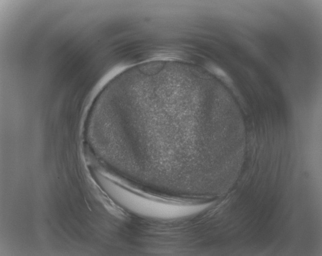 X0000082201427200702021832