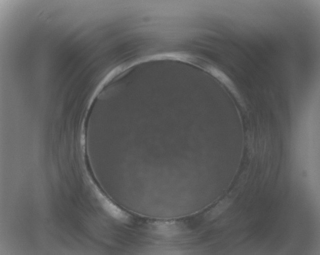 X0000082201428200702021832