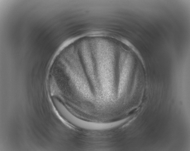 X0000082201429200702021832