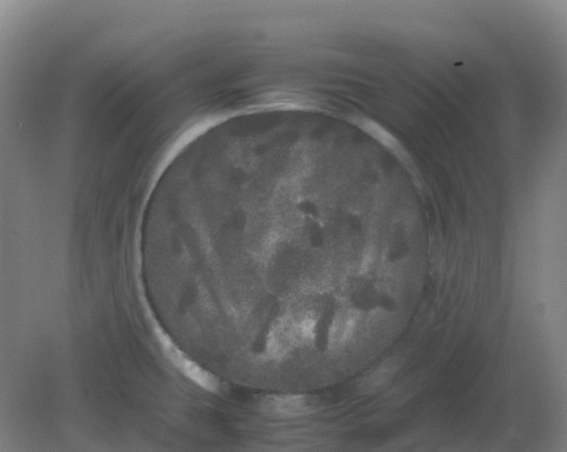 X0000082201431200702021833