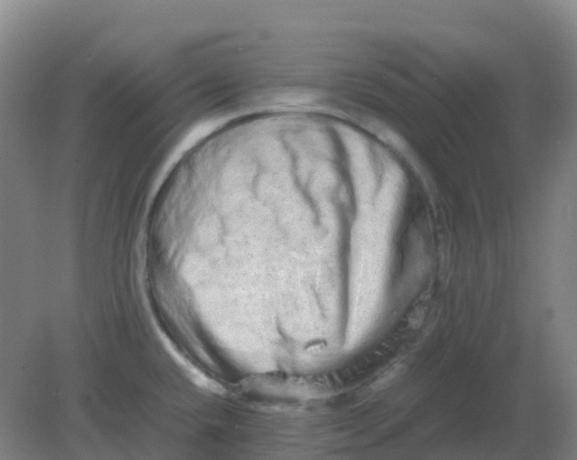 X0000082201432200702021833