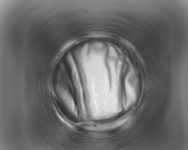 X0000082201433200702021833