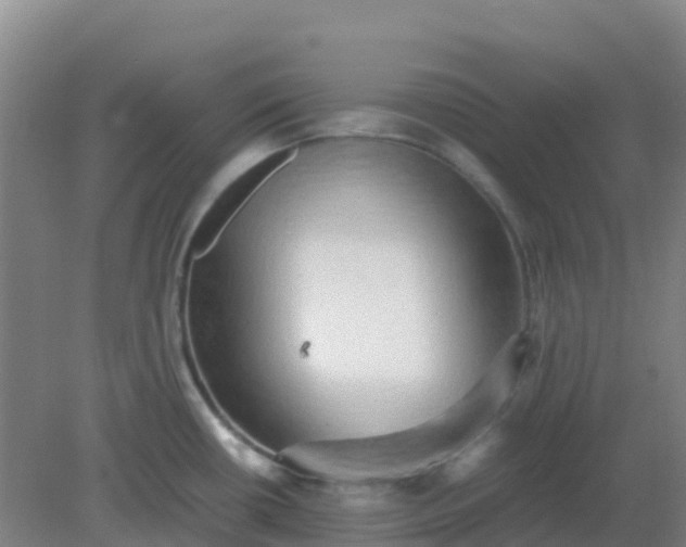 X0000082201434200702021833