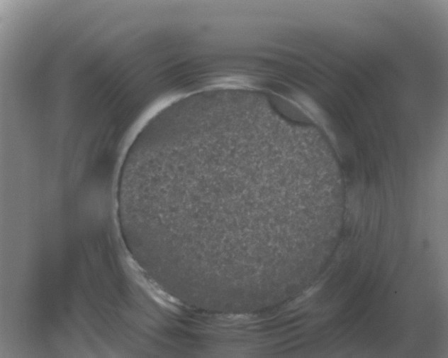 X0000082201435200702021833