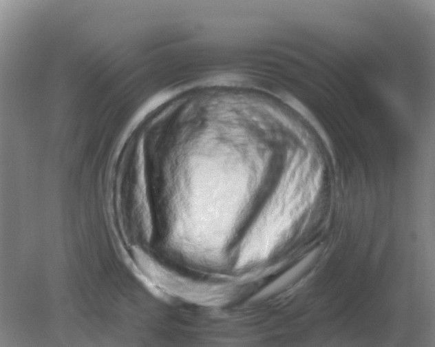 X0000082201437200702021833