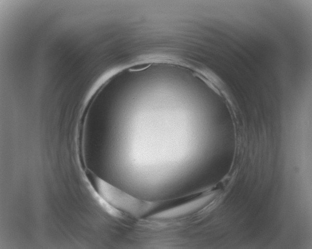 X0000082201438200702021833