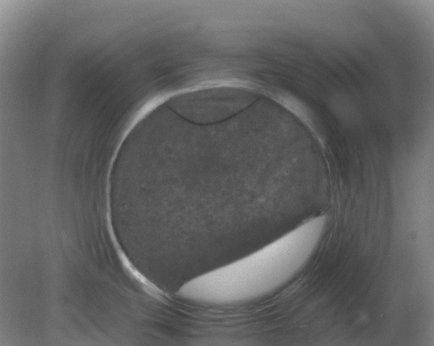 X0000082201439200702021833