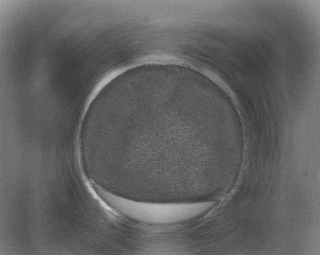 X0000082201440200702021833