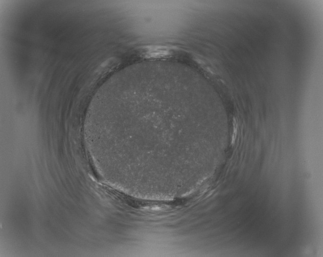 X0000082201441200702021832