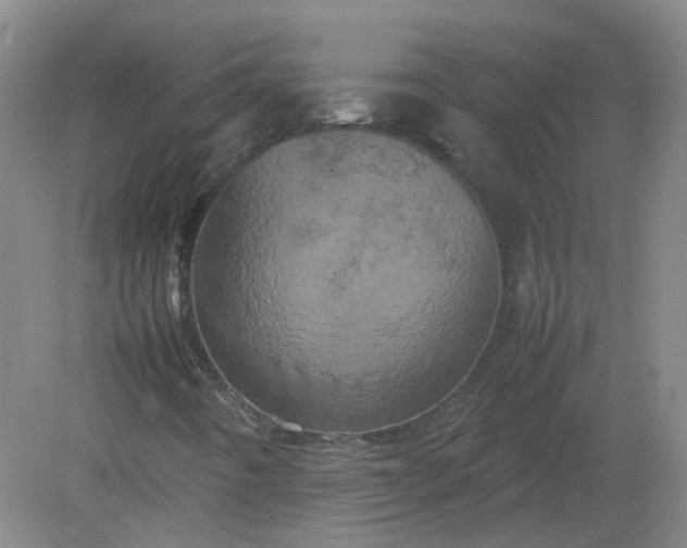 X0000082201442200702021832