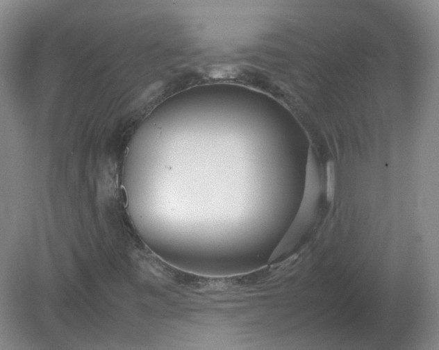 X0000082201443200702021832