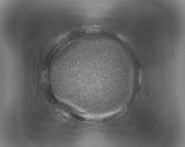 X0000082201445200702021832