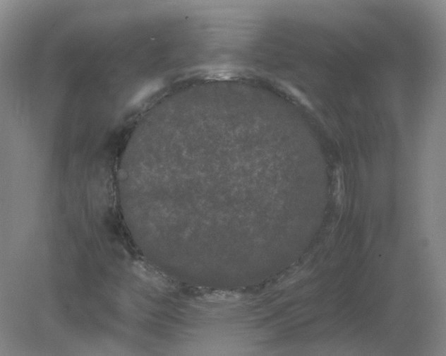 X0000082201446200702021832