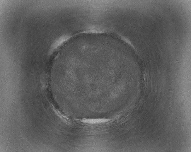 X0000082201448200702021832