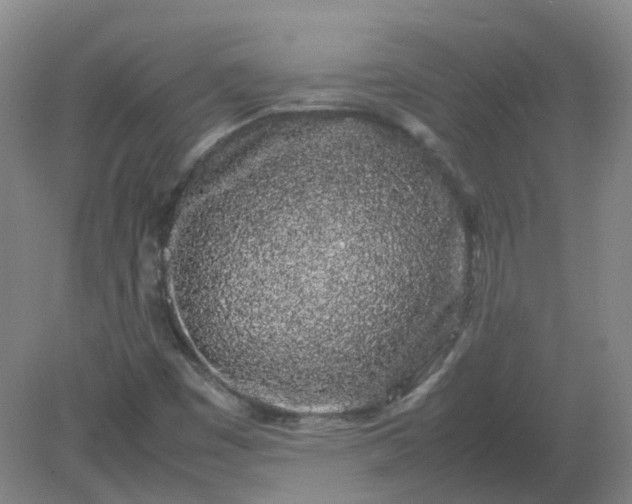 X0000082201449200702021832