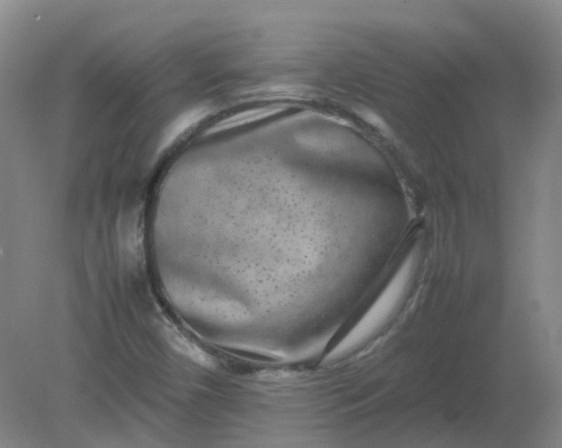 X0000082201450200702021832