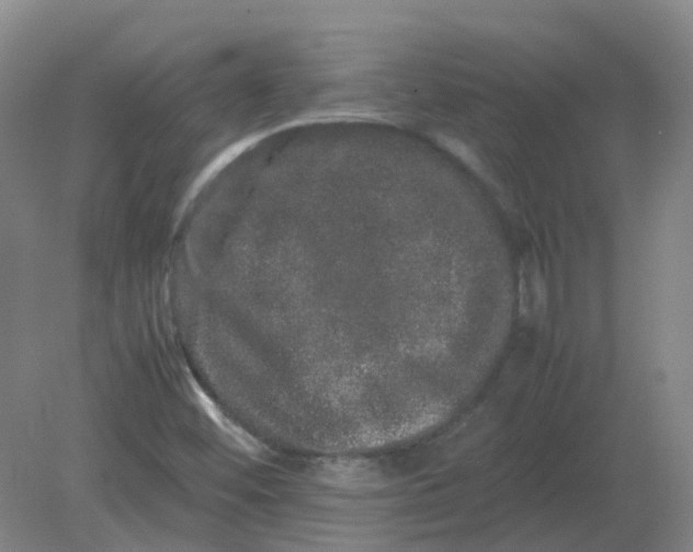 X0000082201452200702021832