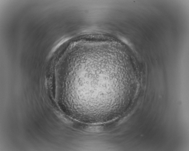 X0000082201453200702021832