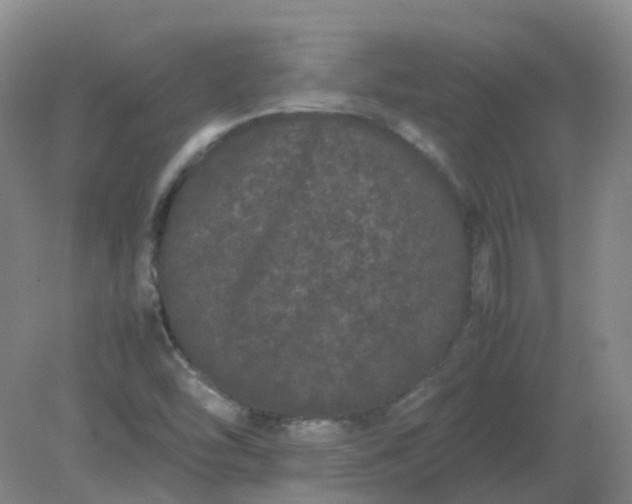 X0000082201454200702021832