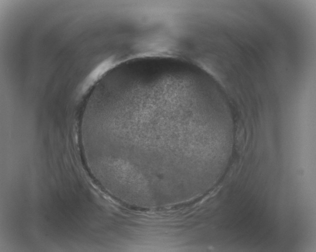 X0000082201455200702021832