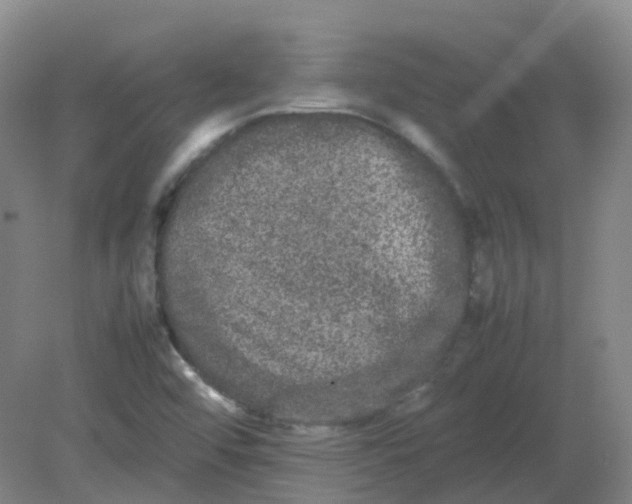 X0000082201456200702021832