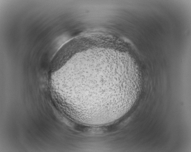 X0000082201457200702021832