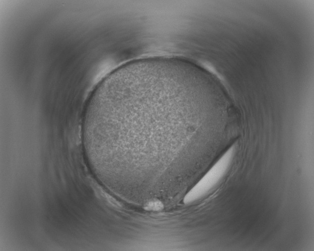 X0000082201459200702021832