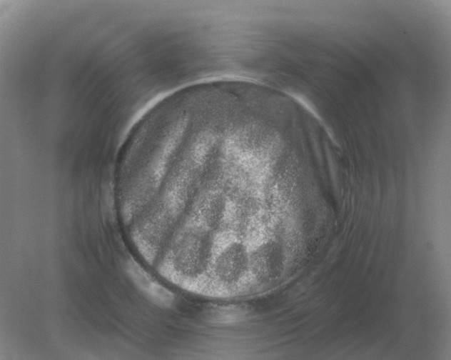 X0000082201460200702021832