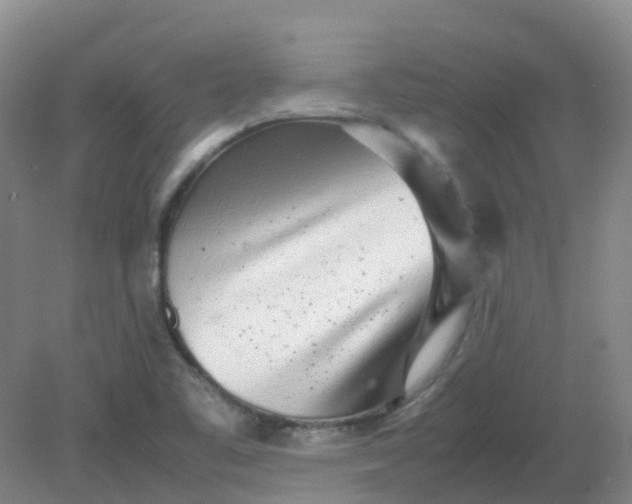 X0000082201461200702021832